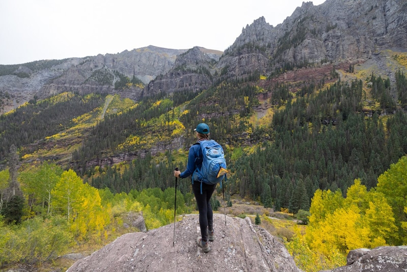 Forest Hiking